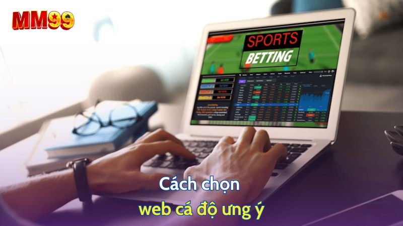 Cách chọn web cá độ ưng ý