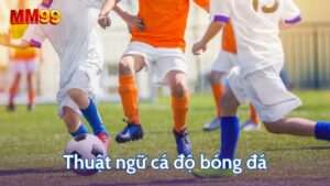 Thuật ngữ cá độ bóng đá quan trọng