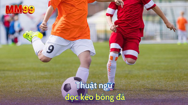 Thuật ngữ đọc kèo bóng đá